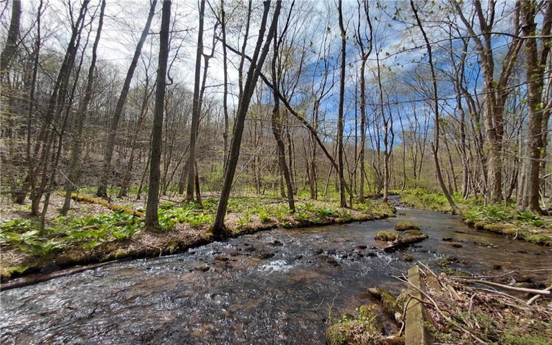 524 Patterson Rd, Bolivar, 15923, ,Residential,For Sale,Patterson Rd,1739218