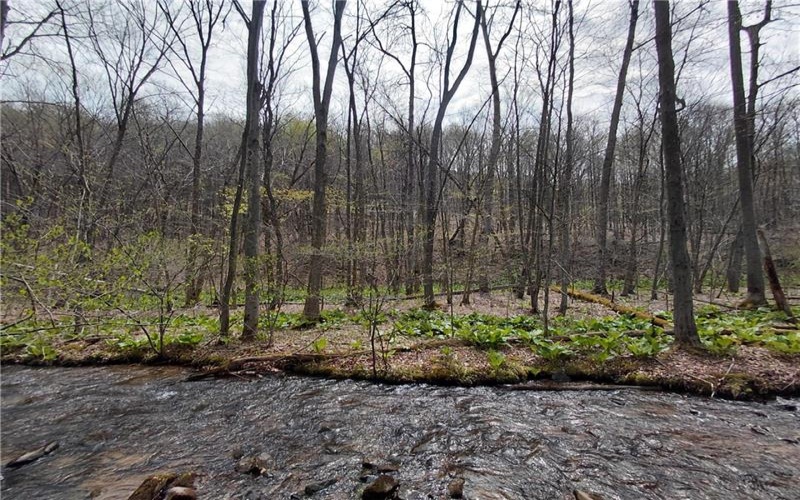 524 Patterson Rd, Bolivar, 15923, ,Residential,For Sale,Patterson Rd,1739218