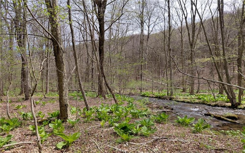 524 Patterson Rd, Bolivar, 15923, ,Residential,For Sale,Patterson Rd,1739218