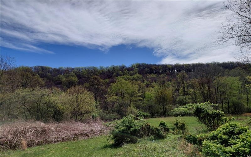 524 Patterson Rd, Bolivar, 15923, ,Residential,For Sale,Patterson Rd,1739218
