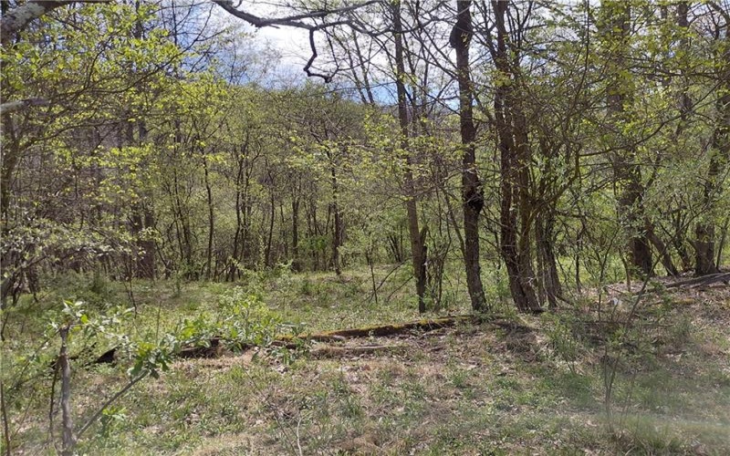 524 Patterson Rd, Bolivar, 15923, ,Residential,For Sale,Patterson Rd,1739218