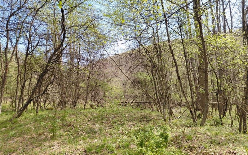 524 Patterson Rd, Bolivar, 15923, ,Residential,For Sale,Patterson Rd,1739218