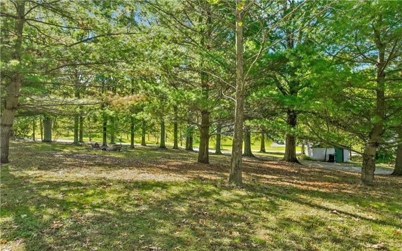 Lot#11 Vaneal Rd, Washington, 15301, ,Farm-acreage-lot,For Sale,Two Barns,Vaneal Rd,1724401