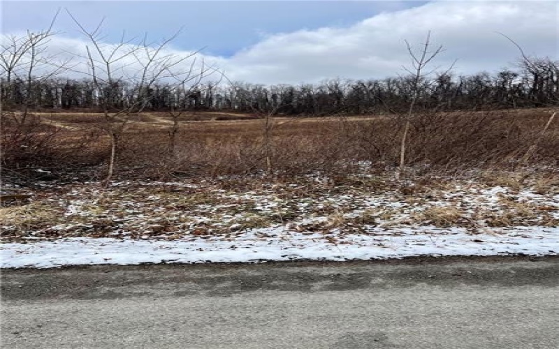 357 S California Drive, Coal Center, 15423, ,Farm-acreage-lot,For Sale,None,S California Drive,1742092
