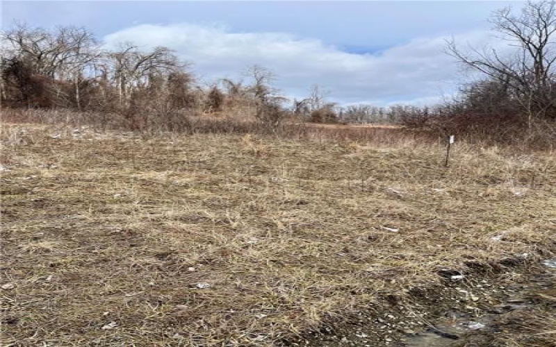 357 S California Drive, Coal Center, 15423, ,Farm-acreage-lot,For Sale,None,S California Drive,1742092