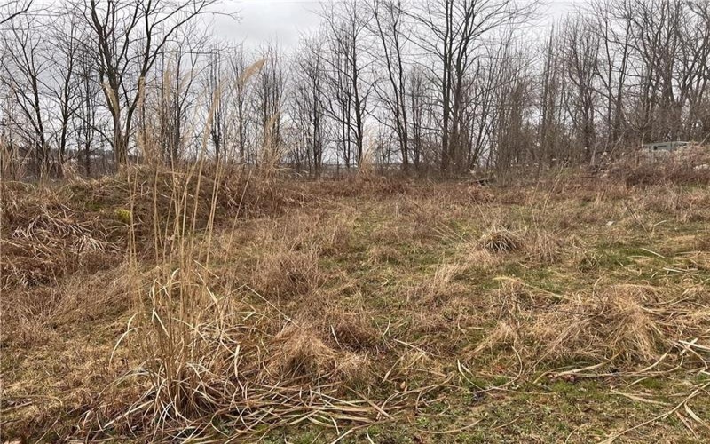 Lot#6 Tuscany Lane, Washington, 15301, ,Farm-acreage-lot,For Sale,Tuscany Lane,1742131