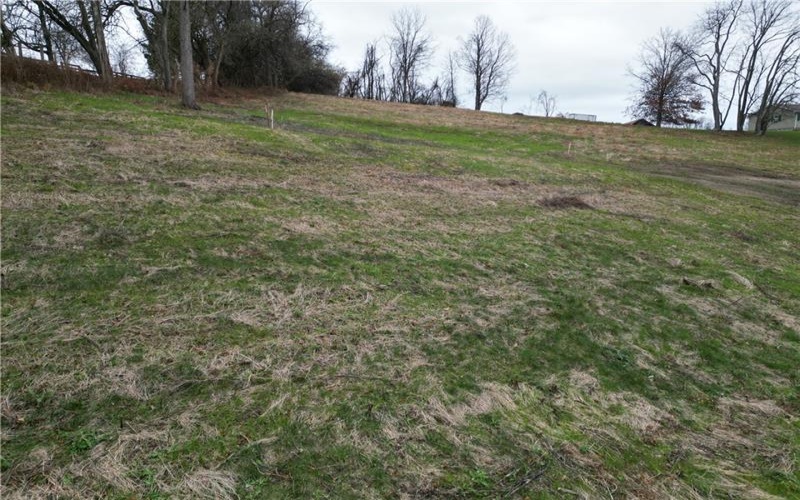 3541 Route 40, Washington, 15301, ,Farm-acreage-lot,For Sale,Route 40,1731269