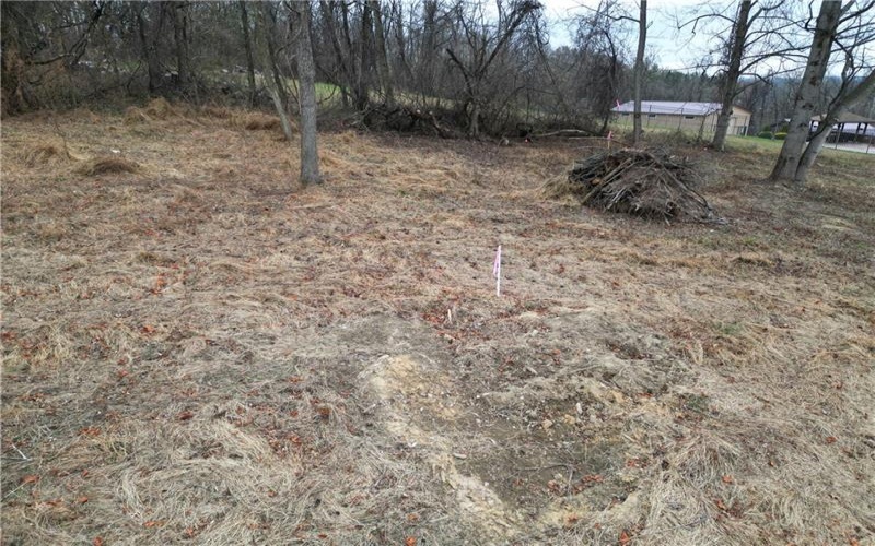 3541 Route 40, Washington, 15301, ,Farm-acreage-lot,For Sale,Route 40,1731269