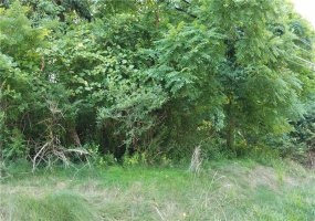 0 Route 119, Greensburg, 15601, ,Farm-acreage-lot,For Sale,Route 119,1735912