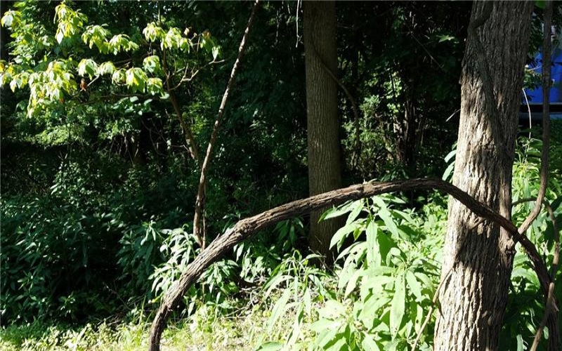 0 Route 119, Greensburg, 15601, ,Farm-acreage-lot,For Sale,Route 119,1735912