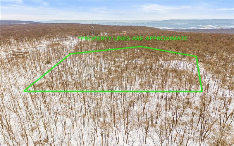 #86, 87 Laurel Dr, 15926, 15926, ,Farm-acreage-lot,For Sale,none,Laurel Dr,1735939