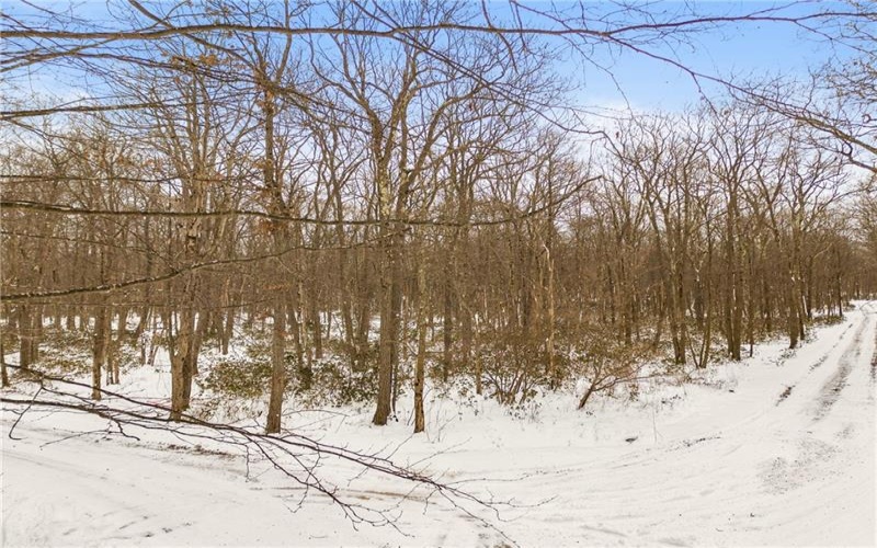 #86, 87 Laurel Dr, 15926, 15926, ,Farm-acreage-lot,For Sale,none,Laurel Dr,1735939
