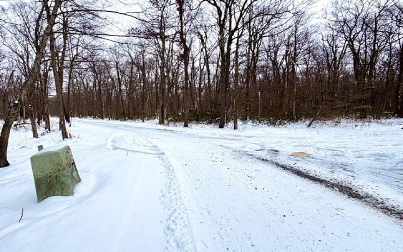 #86, 87 Laurel Dr, 15926, 15926, ,Farm-acreage-lot,For Sale,none,Laurel Dr,1735939