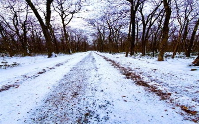 #86, 87 Laurel Dr, 15926, 15926, ,Farm-acreage-lot,For Sale,none,Laurel Dr,1735939