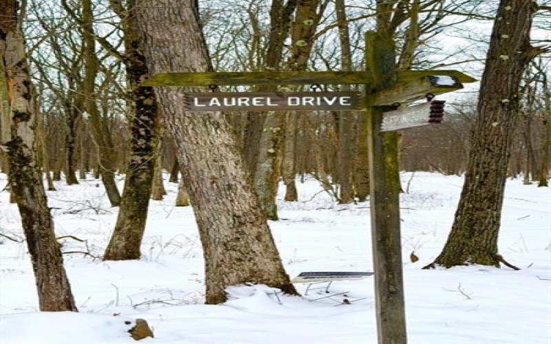 #86, 87 Laurel Dr, 15926, 15926, ,Farm-acreage-lot,For Sale,none,Laurel Dr,1735939