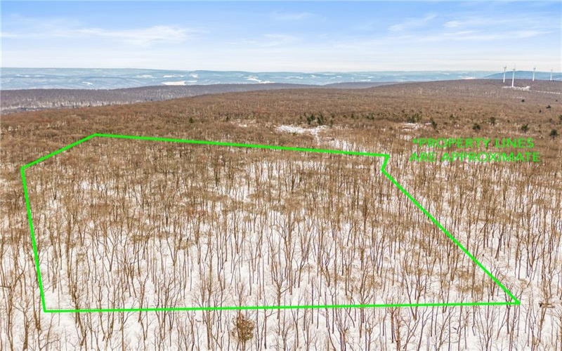 #86, 87 Laurel Dr, 15926, 15926, ,Farm-acreage-lot,For Sale,none,Laurel Dr,1735939