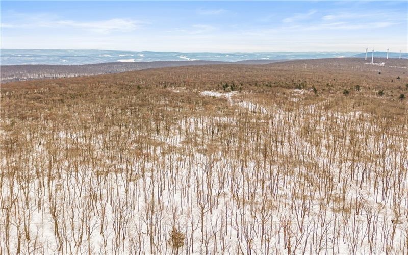 #86, 87 Laurel Dr, 15926, 15926, ,Farm-acreage-lot,For Sale,none,Laurel Dr,1735939