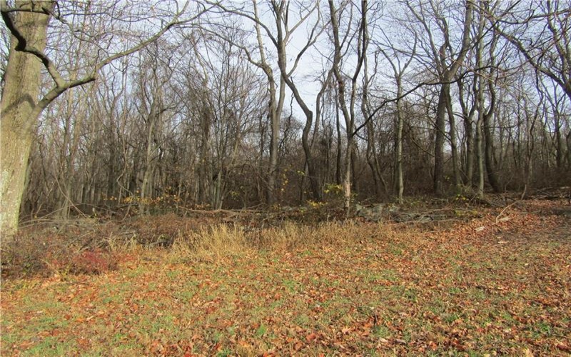 0 Clay Road, S. Connellsville, 15425, ,Farm-acreage-lot,For Sale,Clay Road,1736047