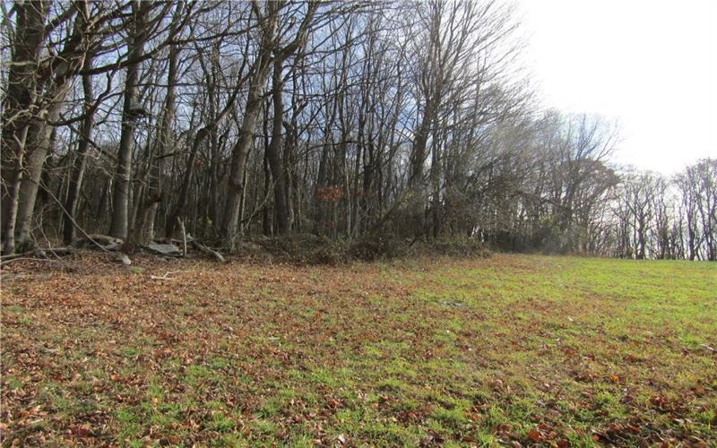0 Clay Road, S. Connellsville, 15425, ,Farm-acreage-lot,For Sale,Clay Road,1736047