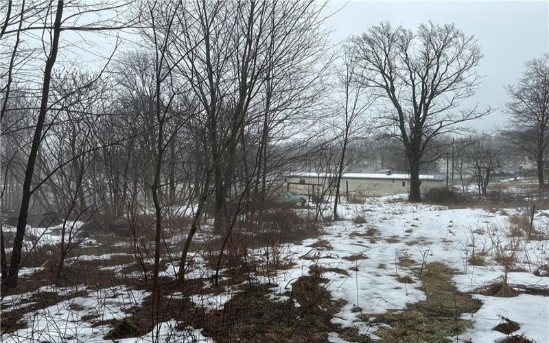 442 Bruceton Road, Markleysburg, 15459, ,Farm-acreage-lot,For Sale,Bruceton Road,1739482