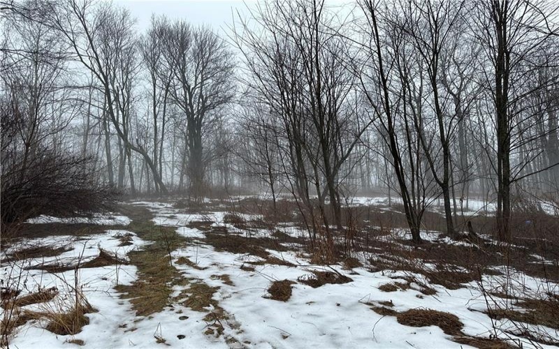 442 Bruceton Road, Markleysburg, 15459, ,Farm-acreage-lot,For Sale,Bruceton Road,1739482