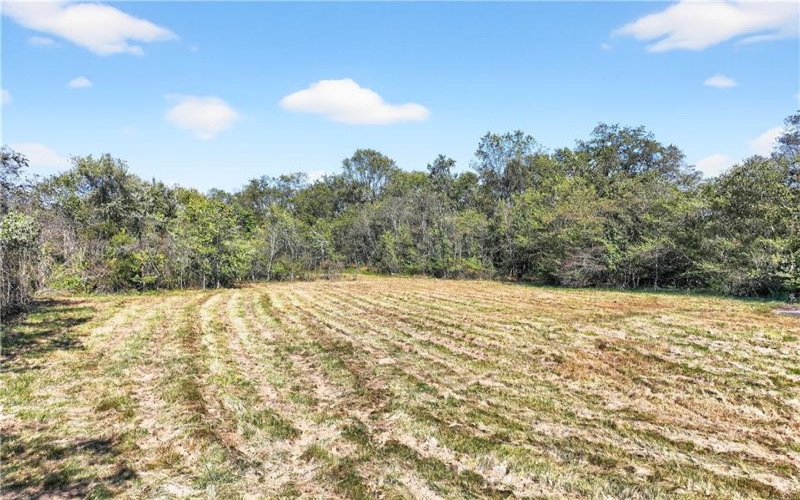 281 Porter Rd, Rostraver Township, 15012, ,Farm-acreage-lot,For Sale,Porter Rd,1725215