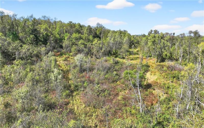 281 Porter Rd, Rostraver Township, 15012, ,Farm-acreage-lot,For Sale,Porter Rd,1725215