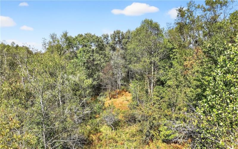 281 Porter Rd, Rostraver Township, 15012, ,Farm-acreage-lot,For Sale,Porter Rd,1725215