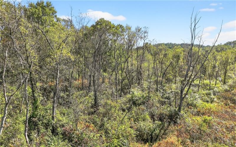 281 Porter Rd, Rostraver Township, 15012, ,Farm-acreage-lot,For Sale,Porter Rd,1725215