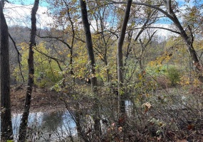 116 New Hill Rd, Grindstone, 15442, ,Farm-acreage-lot,For Sale,New Hill Rd,1736221