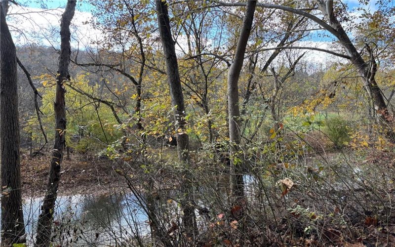 116 New Hill Rd, Grindstone, 15442, ,Farm-acreage-lot,For Sale,New Hill Rd,1736221