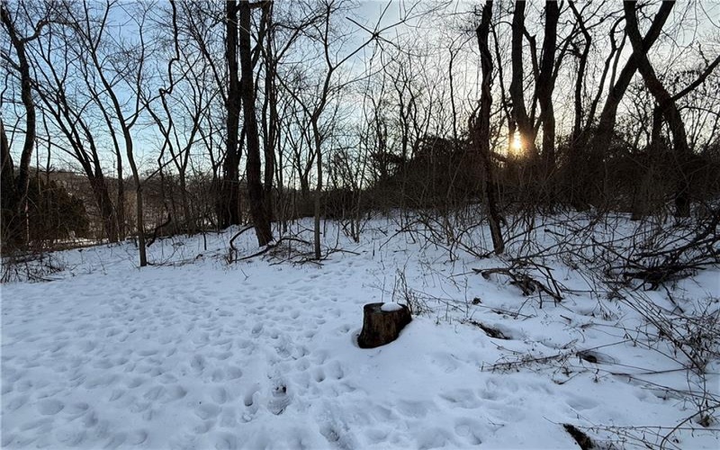 Lot 1 Millers Run rd, Cecil, 15321, ,Farm-acreage-lot,For Sale,Millers Run rd,1739564