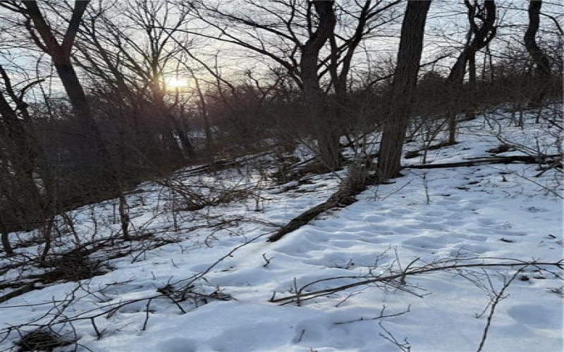 Lot 1 Millers Run rd, Cecil, 15321, ,Farm-acreage-lot,For Sale,Millers Run rd,1739564