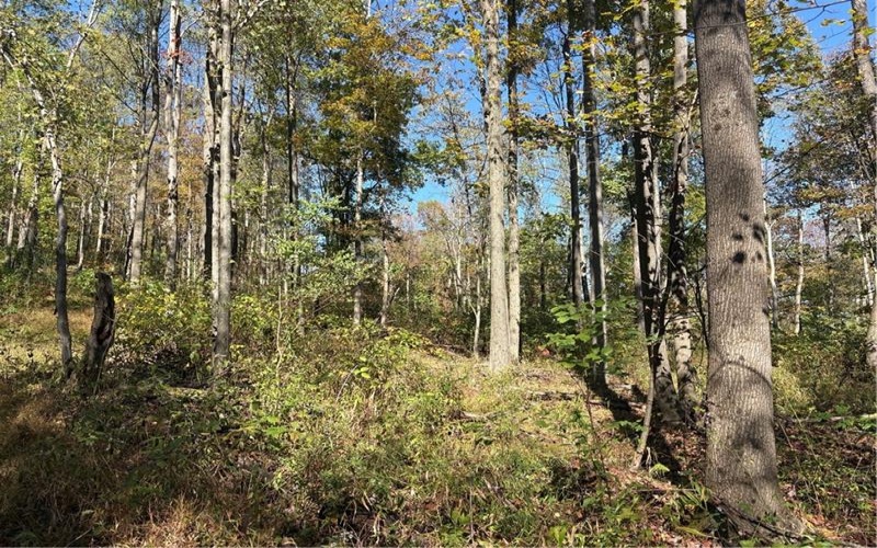 103 Wash Run Rd, Indian Head, 15446, 4 Bedrooms Bedrooms, ,2 BathroomsBathrooms,Residential,For Sale,Wash Run Rd,1725444