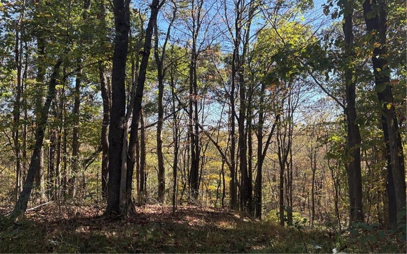 103 Wash Run Rd, Indian Head, 15446, 4 Bedrooms Bedrooms, ,2 BathroomsBathrooms,Residential,For Sale,Wash Run Rd,1725444