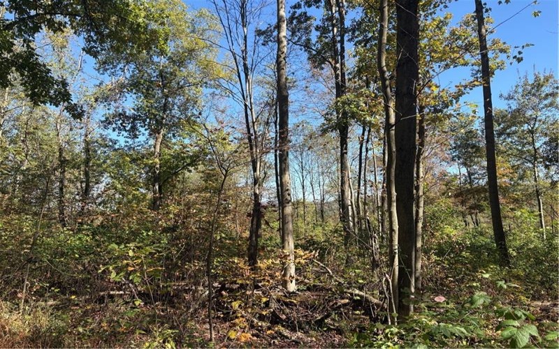 103 Wash Run Rd, Indian Head, 15446, 4 Bedrooms Bedrooms, ,2 BathroomsBathrooms,Residential,For Sale,Wash Run Rd,1725444
