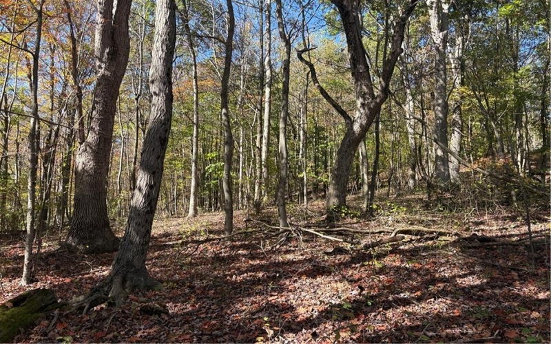 103 Wash Run Rd, Indian Head, 15446, 4 Bedrooms Bedrooms, ,2 BathroomsBathrooms,Residential,For Sale,Wash Run Rd,1725444
