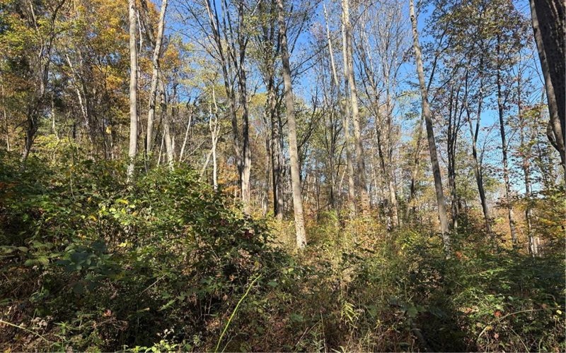 103 Wash Run Rd, Indian Head, 15446, 4 Bedrooms Bedrooms, ,2 BathroomsBathrooms,Residential,For Sale,Wash Run Rd,1725444