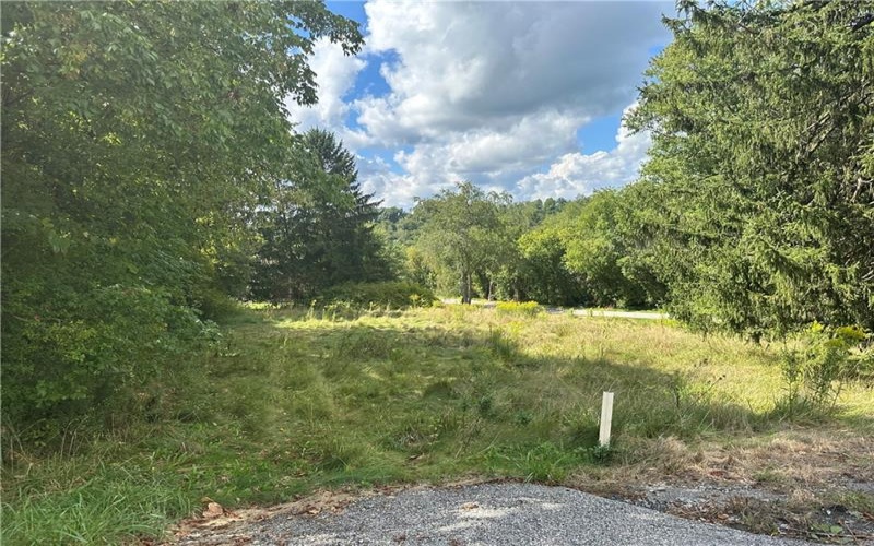 79 3rd Street, Atlasburg, 15021, ,Farm-acreage-lot,For Sale,3rd Street,1731692