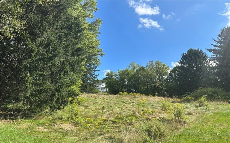 79 3rd Street, Atlasburg, 15021, ,Farm-acreage-lot,For Sale,3rd Street,1731692