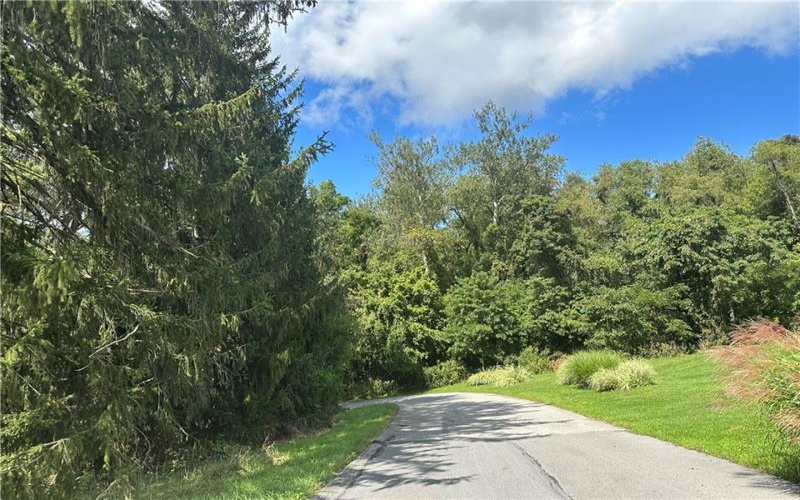 79 3rd Street, Atlasburg, 15021, ,Farm-acreage-lot,For Sale,3rd Street,1731692