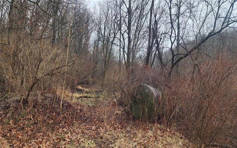 0 Route 18, Burgettstown, 15021, ,Commercial-industrial-business,For Sale,Route 18,1742406
