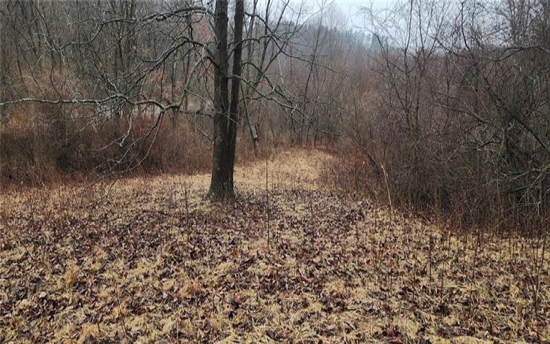 0 Route 18, Burgettstown, 15021, ,Commercial-industrial-business,For Sale,Route 18,1742406