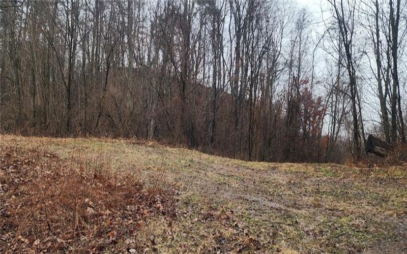 0 Route 18, Burgettstown, 15021, ,Commercial-industrial-business,For Sale,Route 18,1742406
