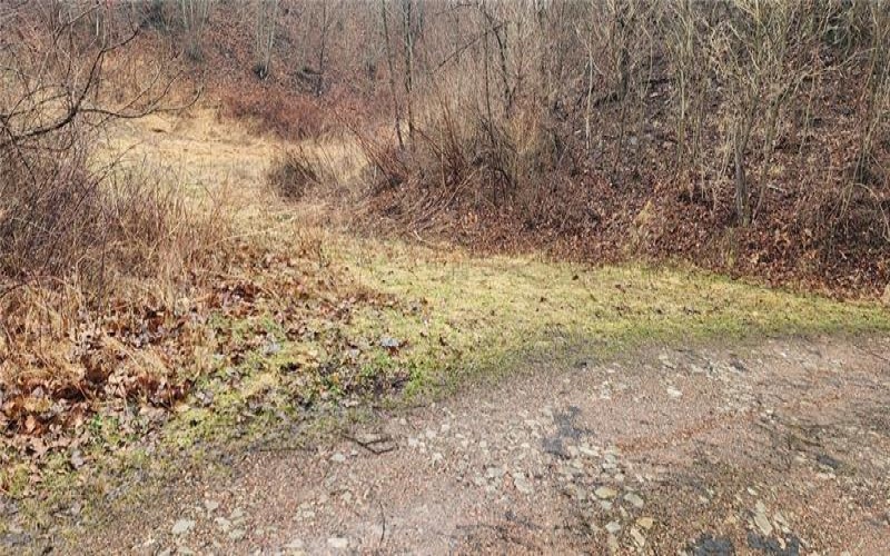 0 Route 18, Burgettstown, 15021, ,Commercial-industrial-business,For Sale,Route 18,1742406