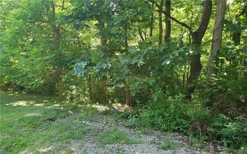 0 Shady Ave, Houston, 15342, ,Farm-acreage-lot,For Sale,Shady Ave,1725530