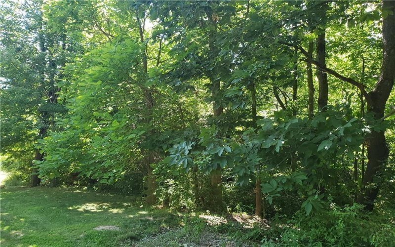 0 Shady Ave, Houston, 15342, ,Farm-acreage-lot,For Sale,Shady Ave,1725530
