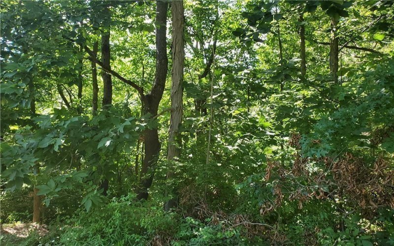 0 Shady Ave, Houston, 15342, ,Farm-acreage-lot,For Sale,Shady Ave,1725530