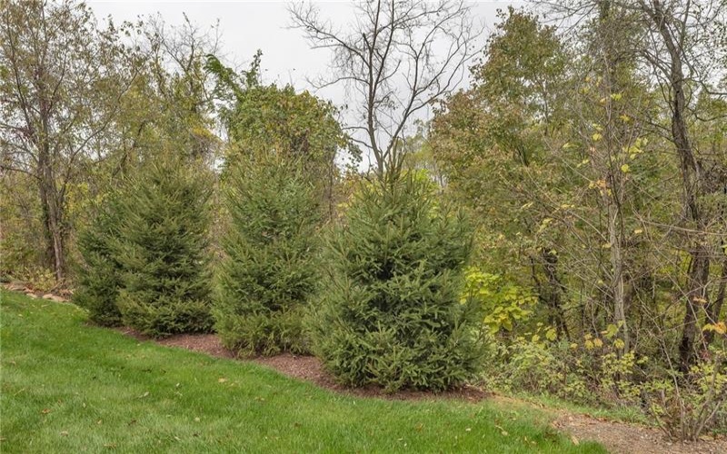 5109 Hemlock Lane, Murrysville, 15668, 2 Bedrooms Bedrooms, 9 Rooms Rooms,2.1 BathroomsBathrooms,Residential,For Sale,Hemlock Lane,1725662