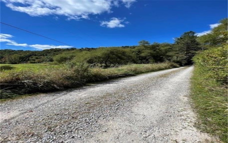 931 DARLINGTON ROAD, LIGONIER, 15658, ,Farm-acreage-lot,For Sale,DARLINGTON ROAD,1742444